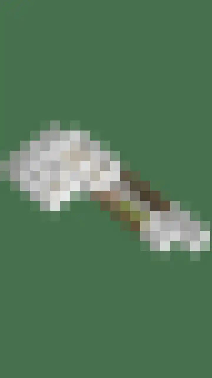 Heraut 14 Oss thumbnail 54