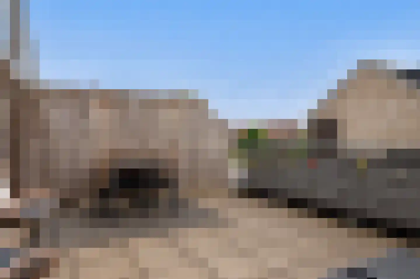 Heraut 33 Zeewolde thumbnail 21