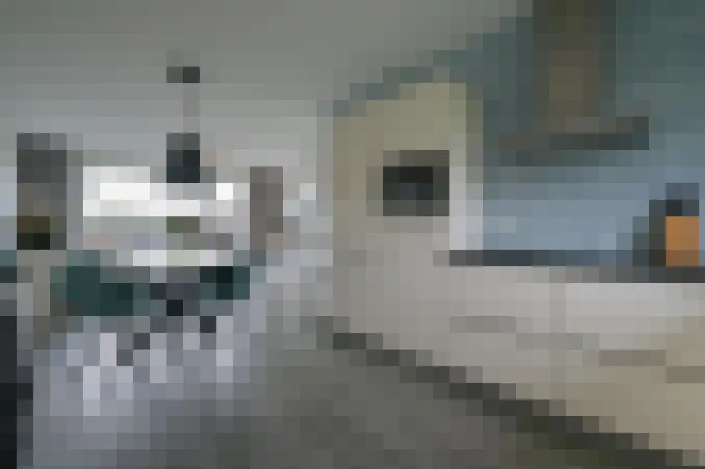 Heraut 33 Zeewolde thumbnail 4