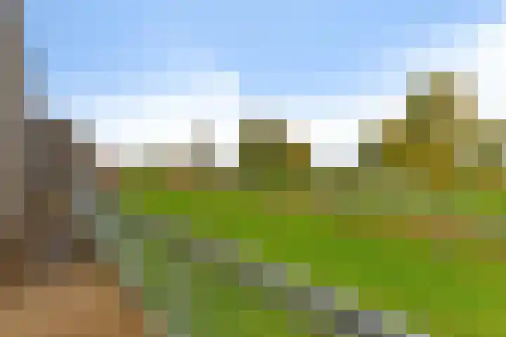Heraut 37 Zeewolde thumbnail 22