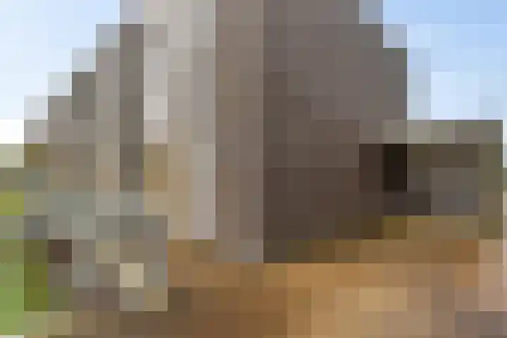 Heraut 37 Zeewolde thumbnail 23