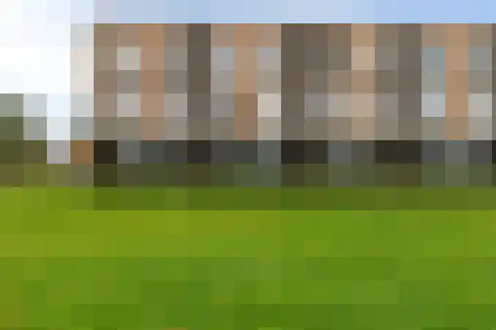 Heraut 37 Zeewolde thumbnail 25