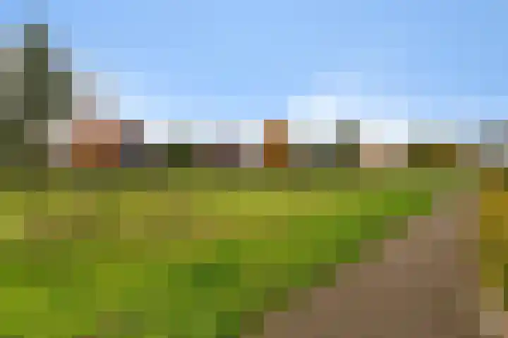 Heraut 37 Zeewolde thumbnail 27