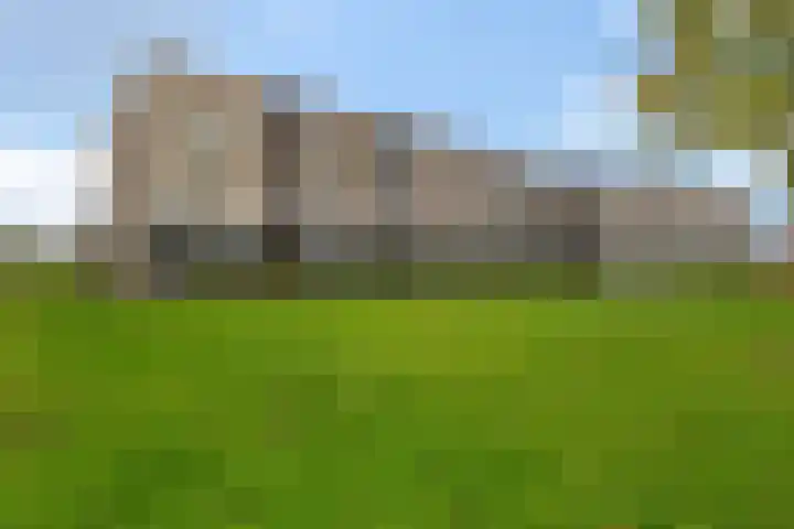 Heraut 37 Zeewolde thumbnail 28