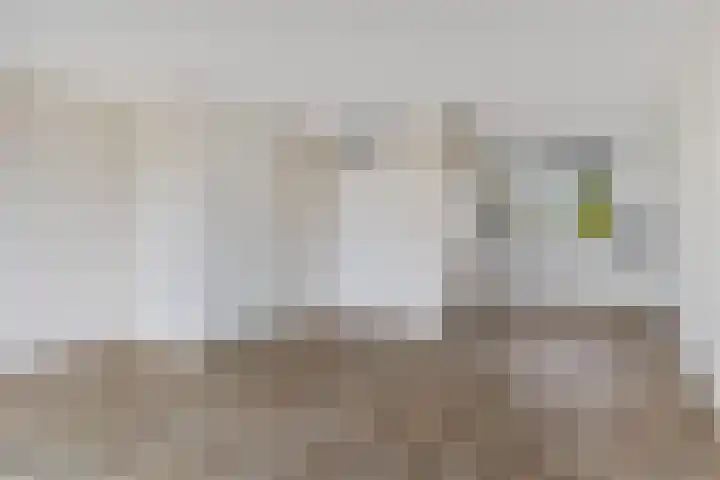 Heraut 37 Zeewolde thumbnail 5