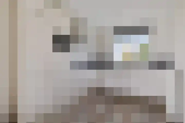 Heraut 37 Zeewolde thumbnail 6