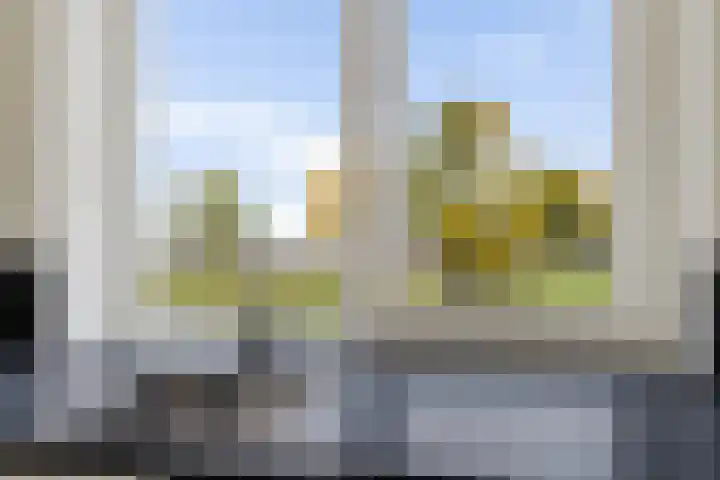 Heraut 37 Zeewolde thumbnail 7
