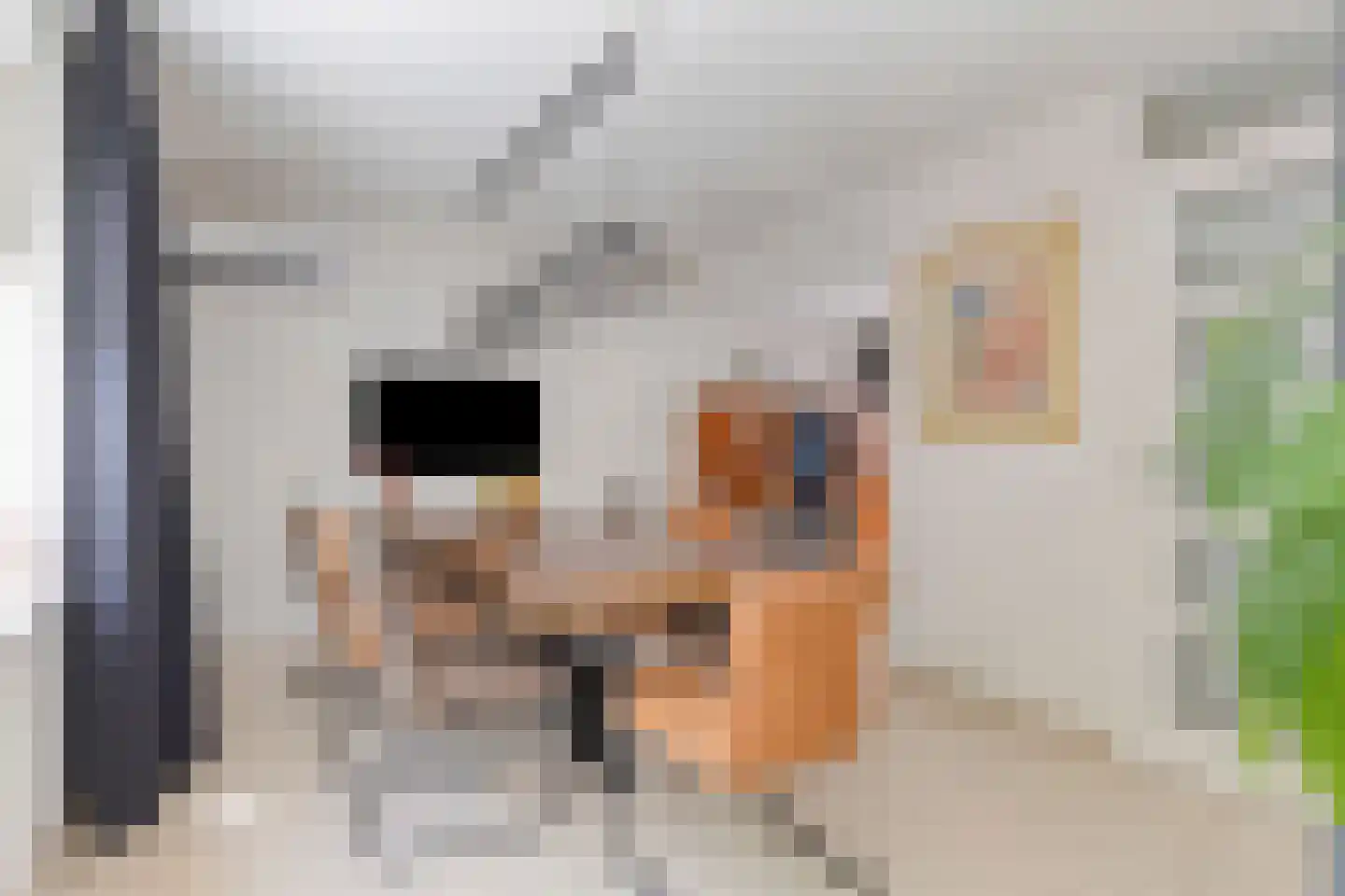 Heraut 6 Oss thumbnail 13