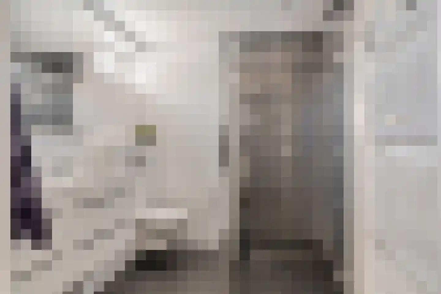 Heraut 6 Oss thumbnail 24