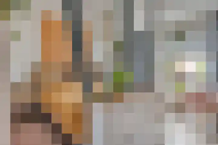 Heraut 7 Zeewolde thumbnail 10