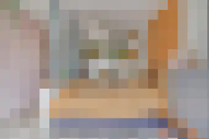 Heraut 7 Zeewolde thumbnail 11