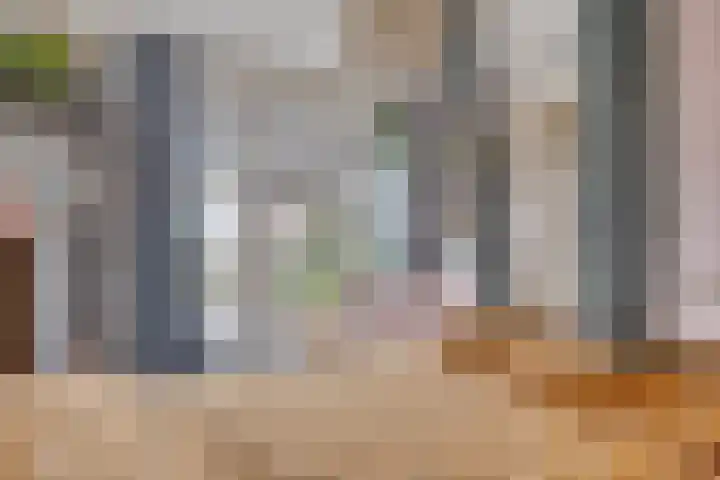 Heraut 7 Zeewolde thumbnail 12
