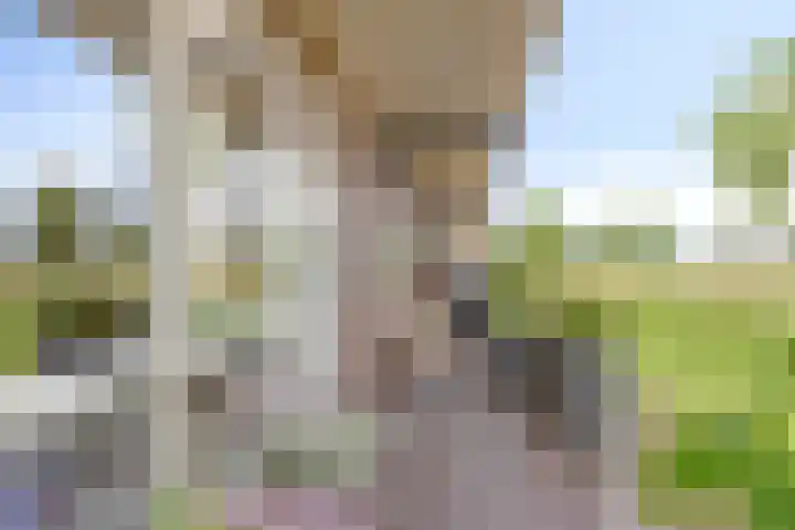 Heraut 7 Zeewolde thumbnail 24