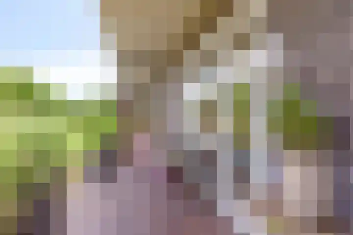 Heraut 7 Zeewolde thumbnail 25