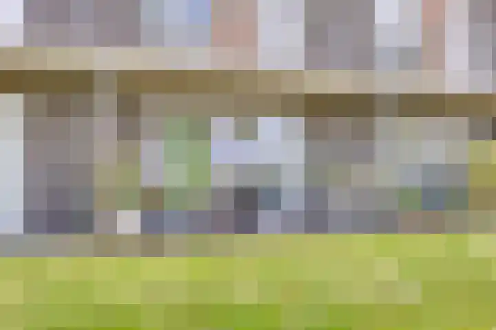 Heraut 7 Zeewolde thumbnail 28