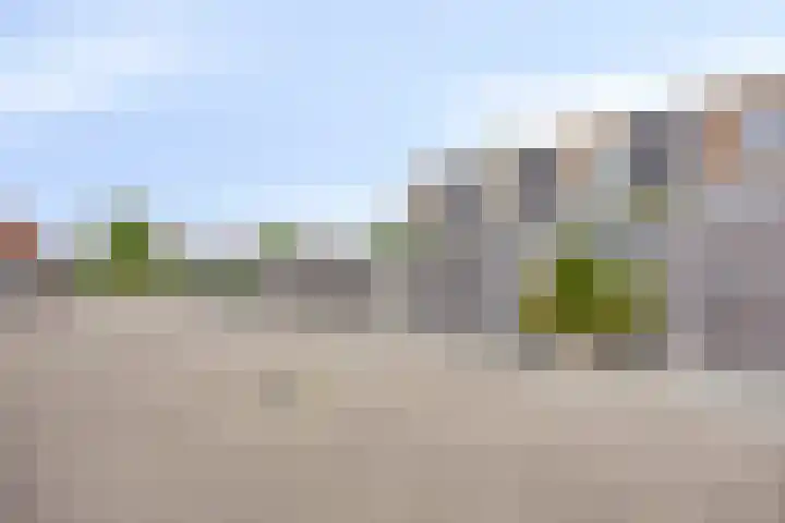 Heraut 7 Zeewolde thumbnail 29