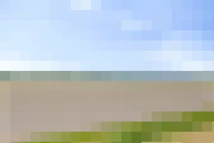 Heraut 7 Zeewolde thumbnail 30