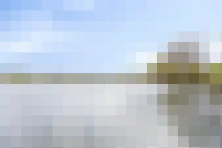 Heraut 7 Zeewolde thumbnail 31
