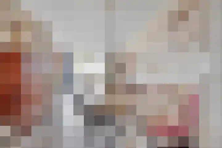 Heraut 7 Zeewolde thumbnail 4