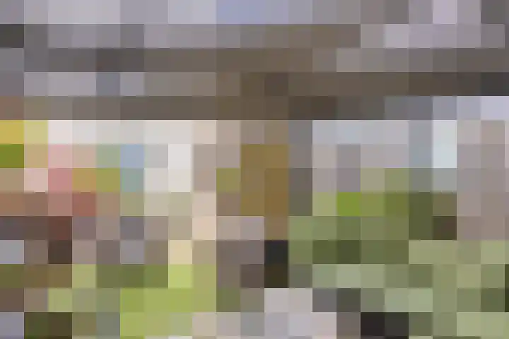 Heraut 7 Zeewolde thumbnail 5
