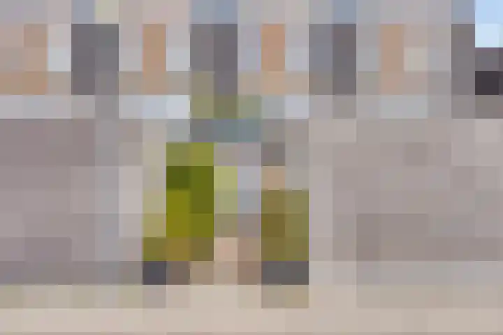 Heraut 7 Zeewolde thumbnail 6