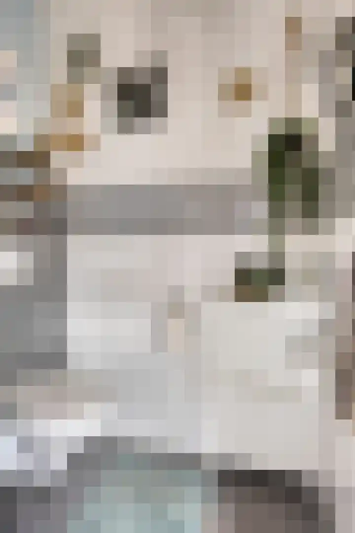 Heraut 7 Zeewolde thumbnail 9