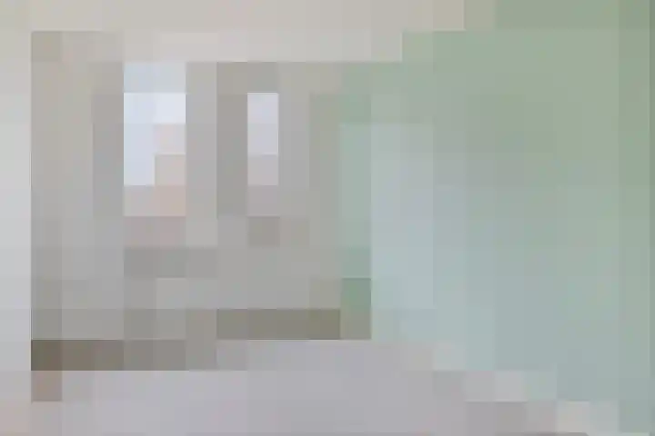 Herautpad 20 Schiedam thumbnail 11