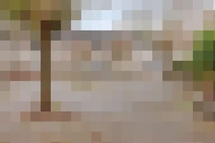 Herautpad 20 Schiedam thumbnail 25