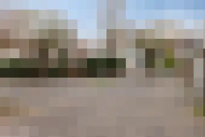 Herautpad 20 Schiedam thumbnail 26