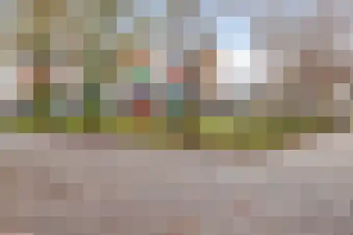 Herautpad 20 Schiedam thumbnail 27