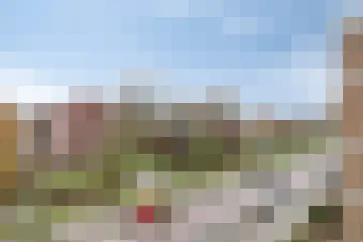 Herautpad 20 Schiedam thumbnail 4