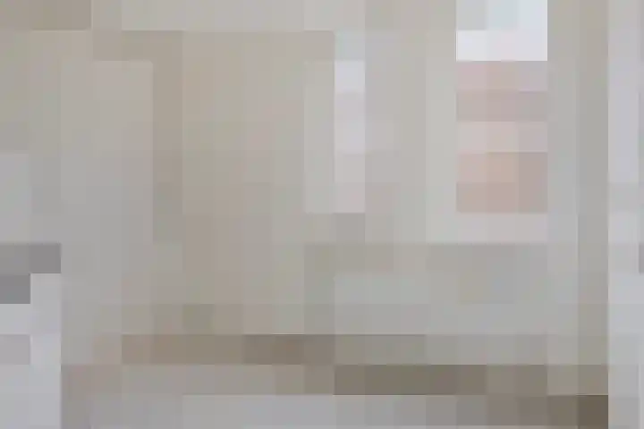 Herautpad 20 Schiedam thumbnail 7