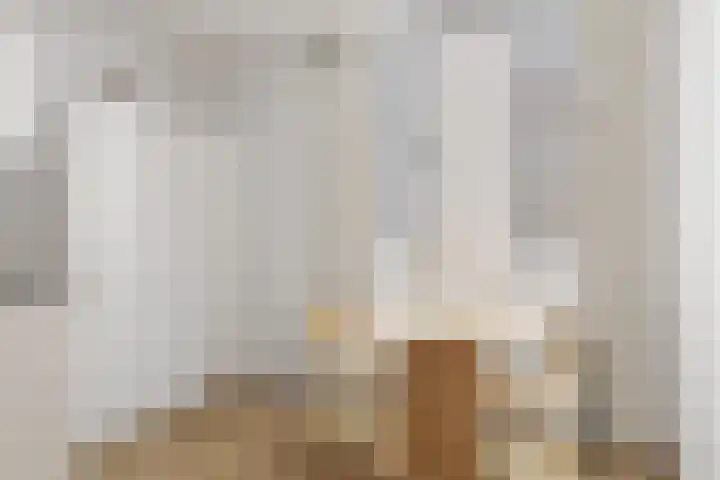 Herautpad 20 Schiedam thumbnail 8