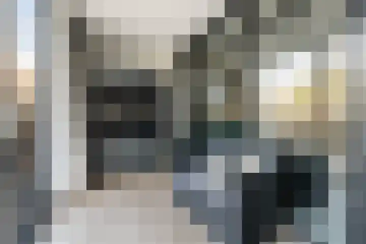 Herautpad 34 Schiedam thumbnail 14