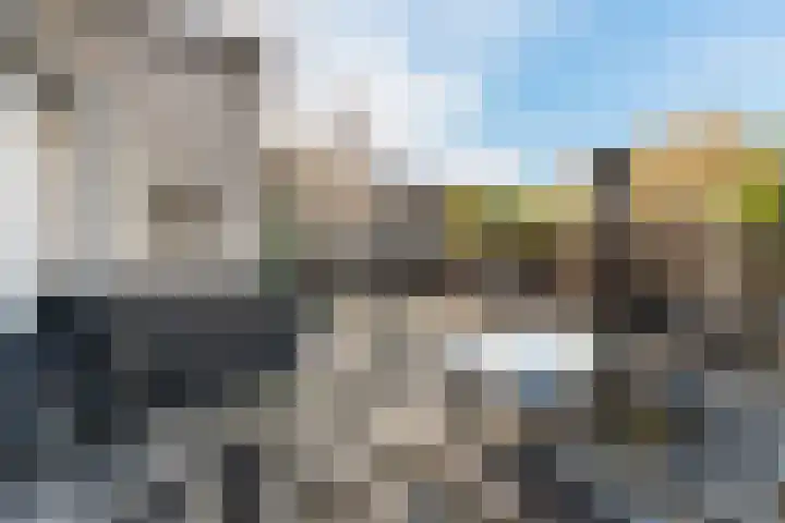Herautpad 34 Schiedam thumbnail 18