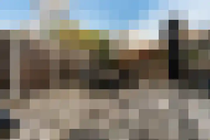 Herautpad 34 Schiedam thumbnail 20