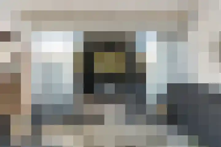 Herautpad 34 Schiedam thumbnail 25