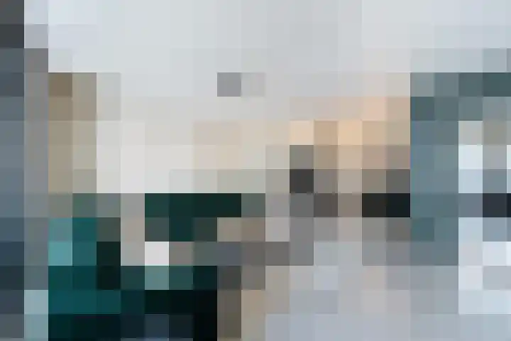Herautpad 34 Schiedam thumbnail 29