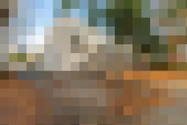 Herautpad 34 Schiedam thumbnail 5