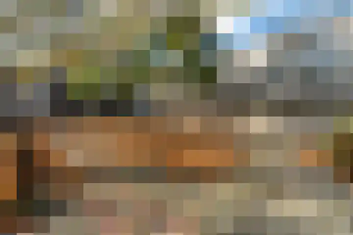 Herautpad 34 Schiedam thumbnail 52
