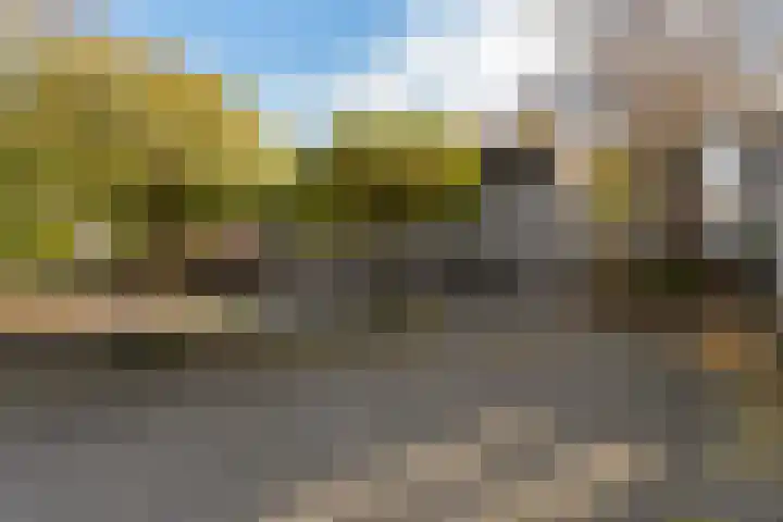 Herautpad 34 Schiedam thumbnail 56