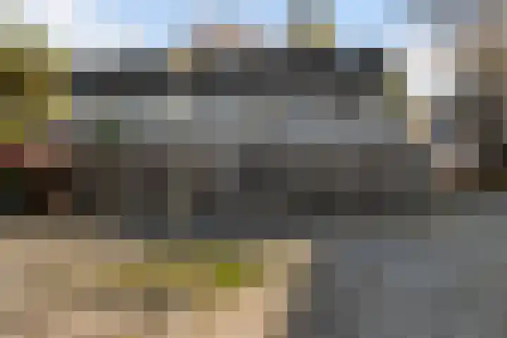 Herautpad 34 Schiedam thumbnail 57