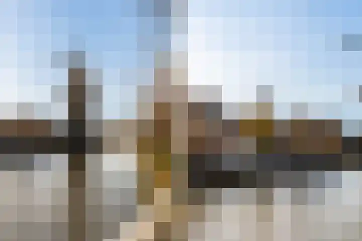 Herautpad 34 Schiedam thumbnail 60