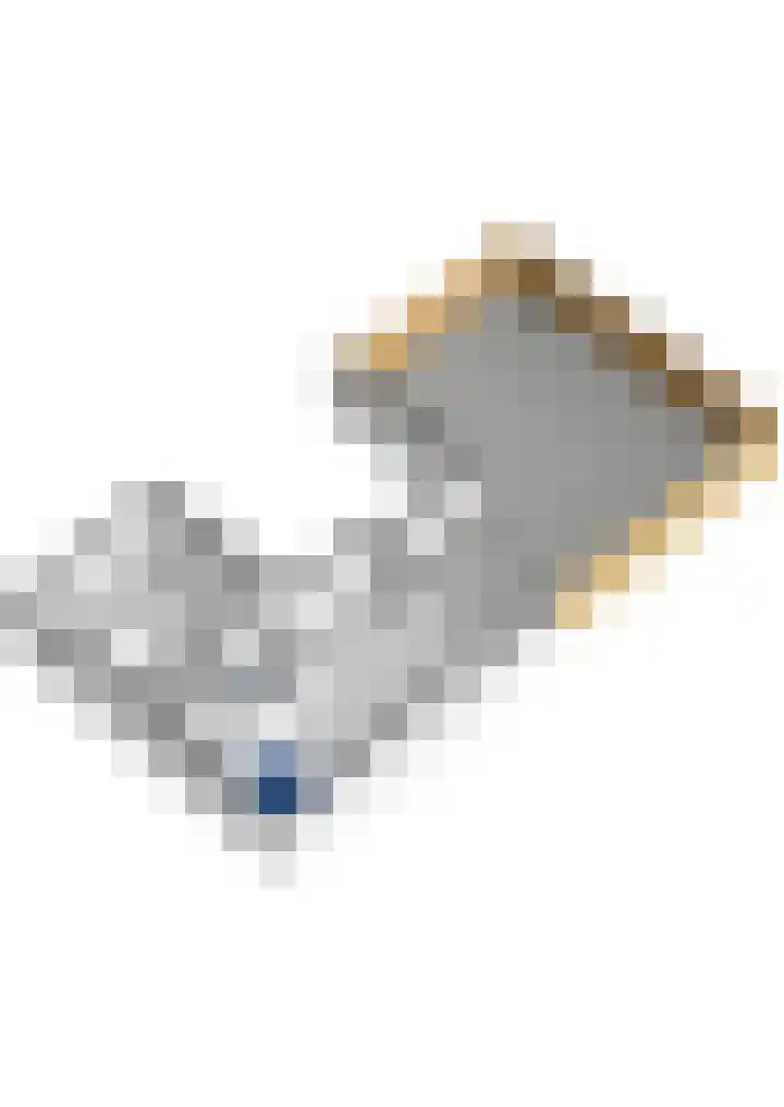 Herautpad 34 Schiedam thumbnail 67