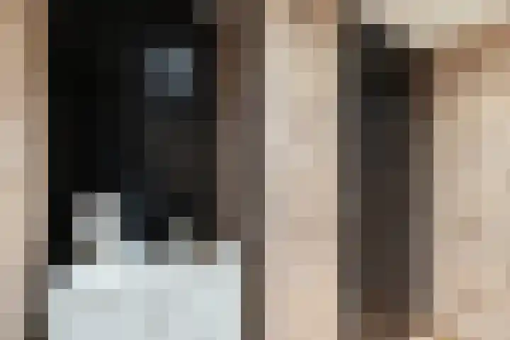 Herautpad 34 Schiedam thumbnail 7