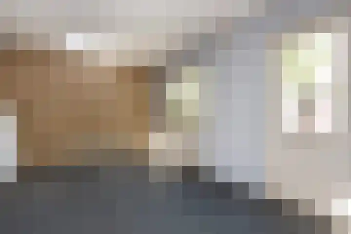 Herautsingel 12 Utrecht thumbnail 14