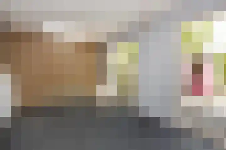Herautsingel 12 Utrecht thumbnail 15