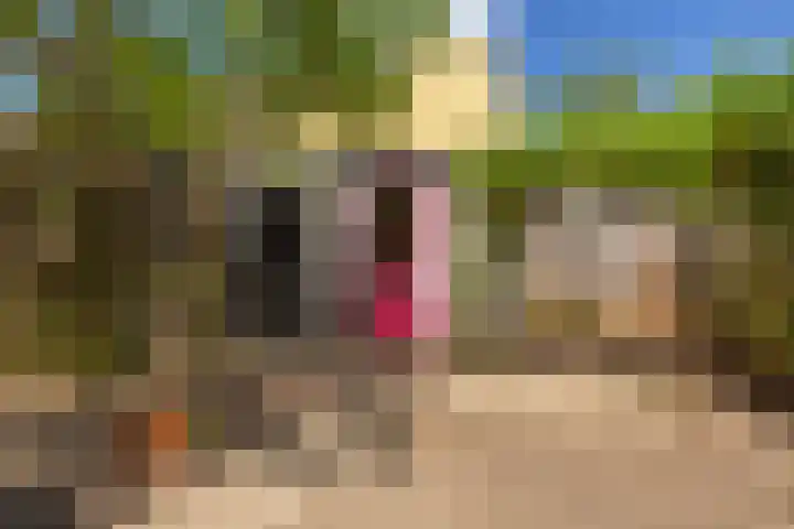 Herautsingel 12 Utrecht thumbnail 16