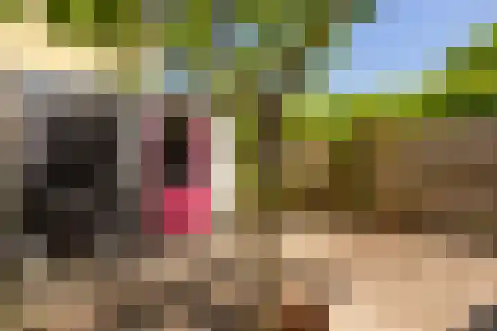 Herautsingel 12 Utrecht thumbnail 17