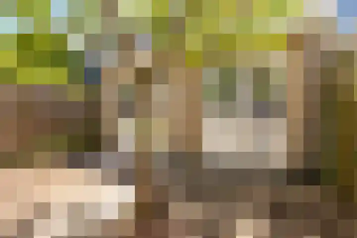 Herautsingel 12 Utrecht thumbnail 18